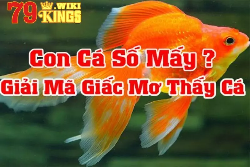 Đánh gì khi nằm mộng thấy cá