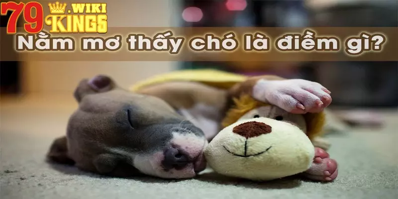 Điềm báo khi có giấc mộng về chó