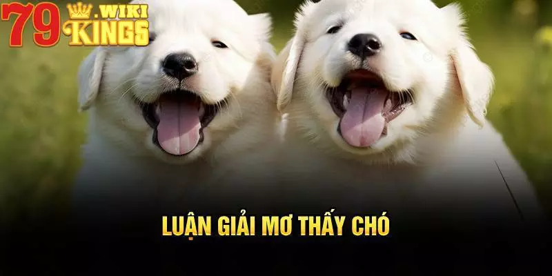 Điềm báo không tốt khi mơ chó trắng