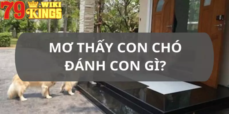 Gợi ý chốt số khi mơ thấy chó
