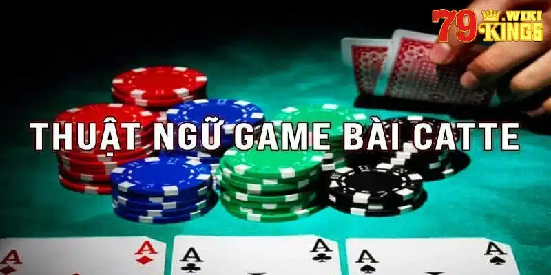 Thuật ngữ trong game Catte cần ghi nhớ